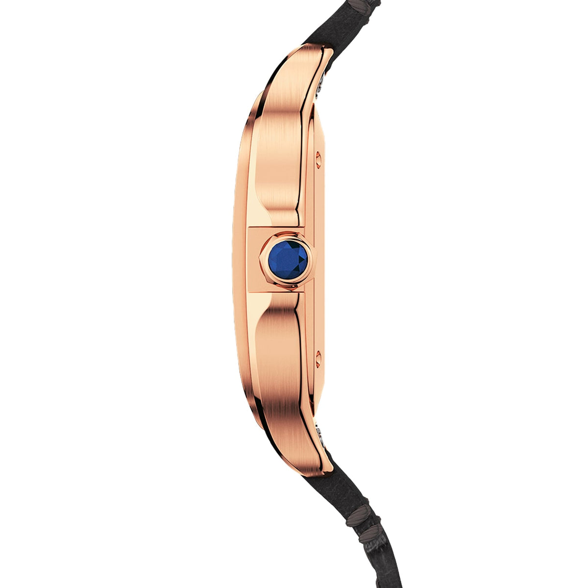 Cartier Santos de Cartier Medium Model