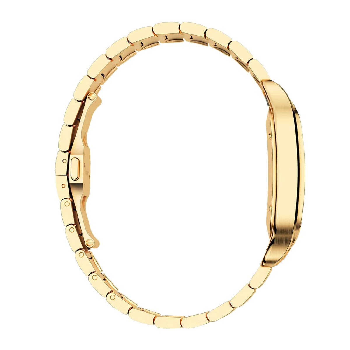 Cartier Santos de Cartier Large Model