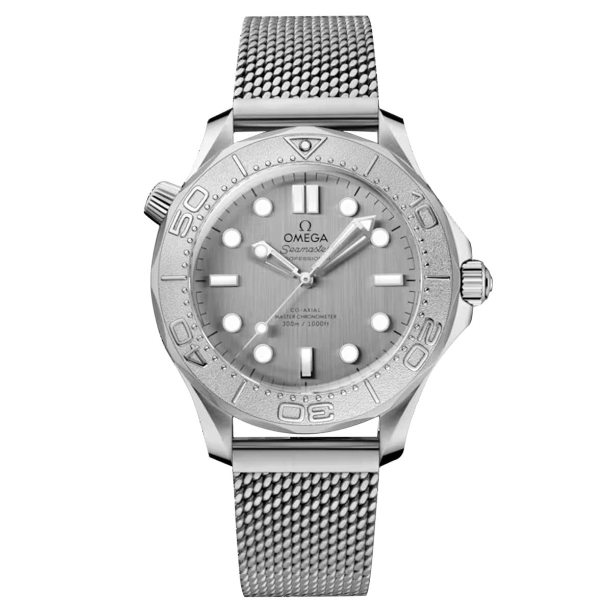 Omega Seamaster Diver 300M
