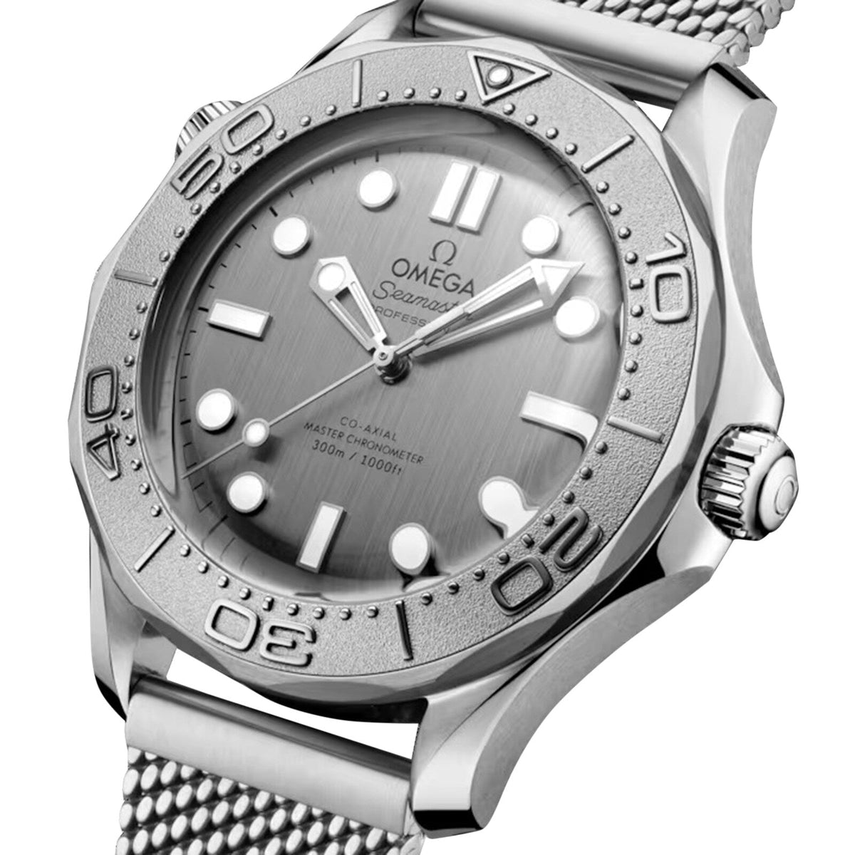 Omega Seamaster Diver 300M