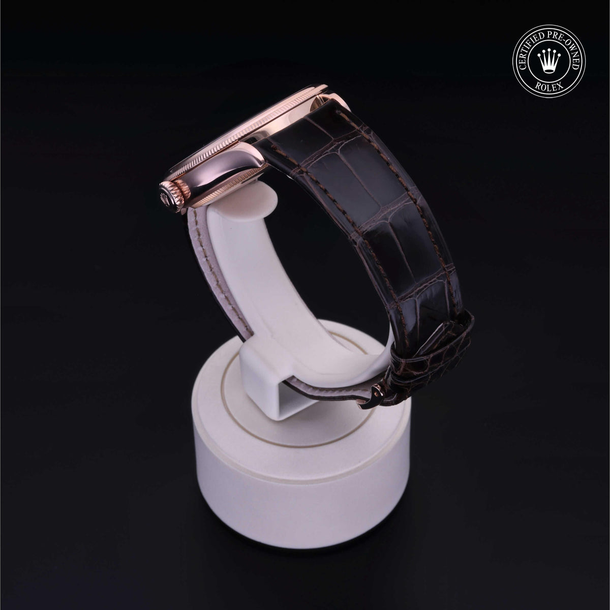 Rolex CPO CELLINI 18KR WHDL BRWN ST
