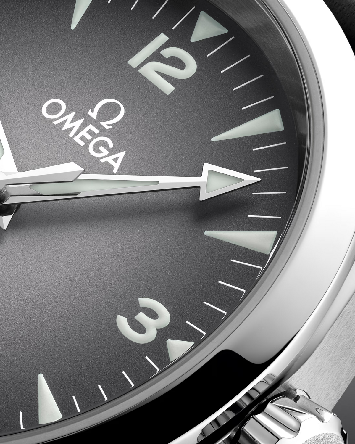 Omega Seamaster Railmaster