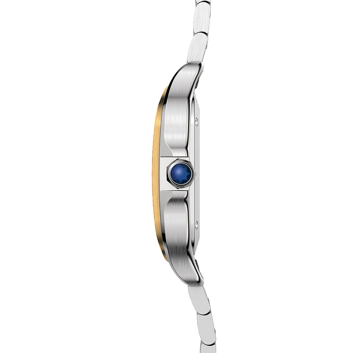 Cartier Santos de Cartier