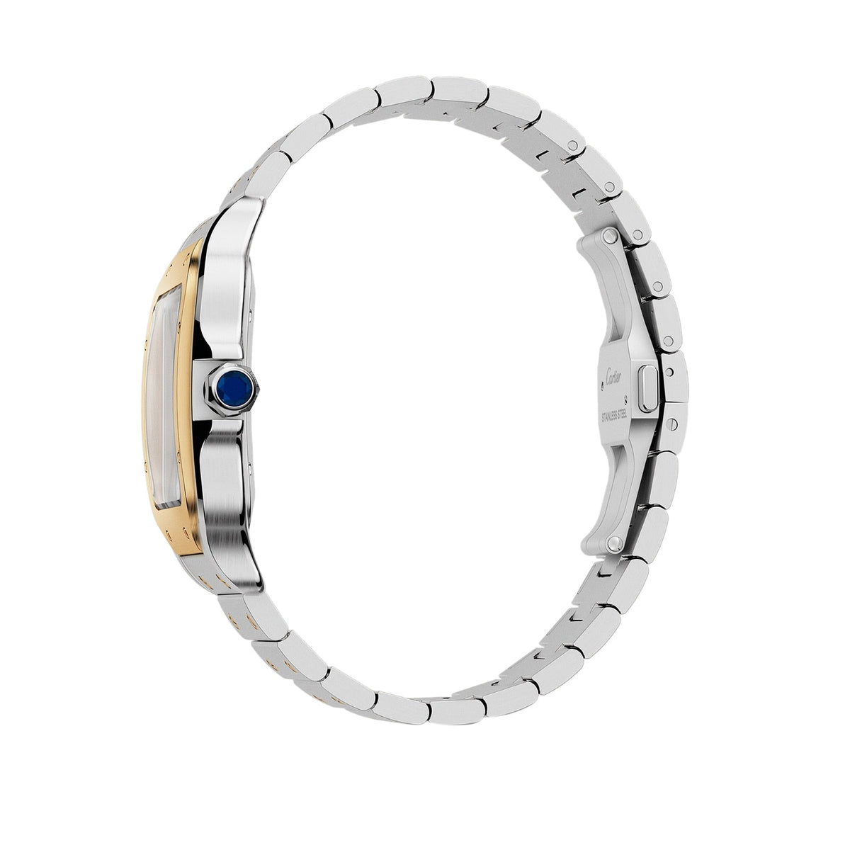 Cartier Santos de Cartier Large Model