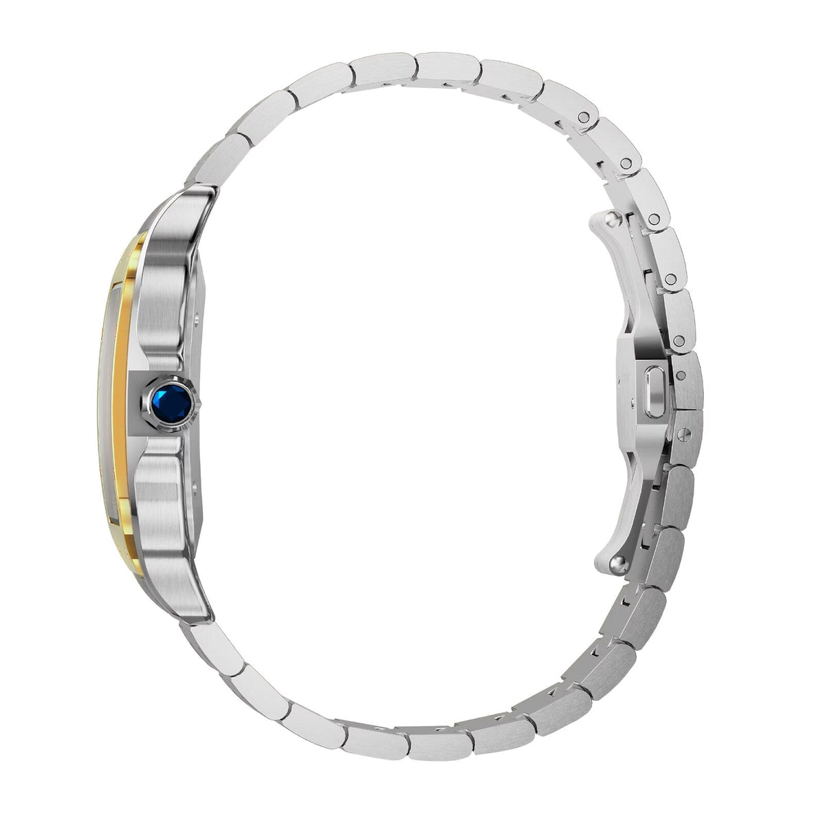 Cartier Santos de Cartier Large Model