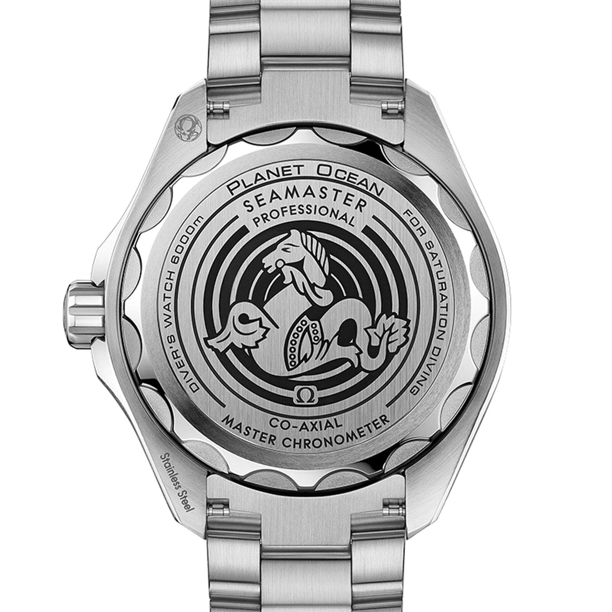 Omega Seamaster Planet Ocean 6000M
