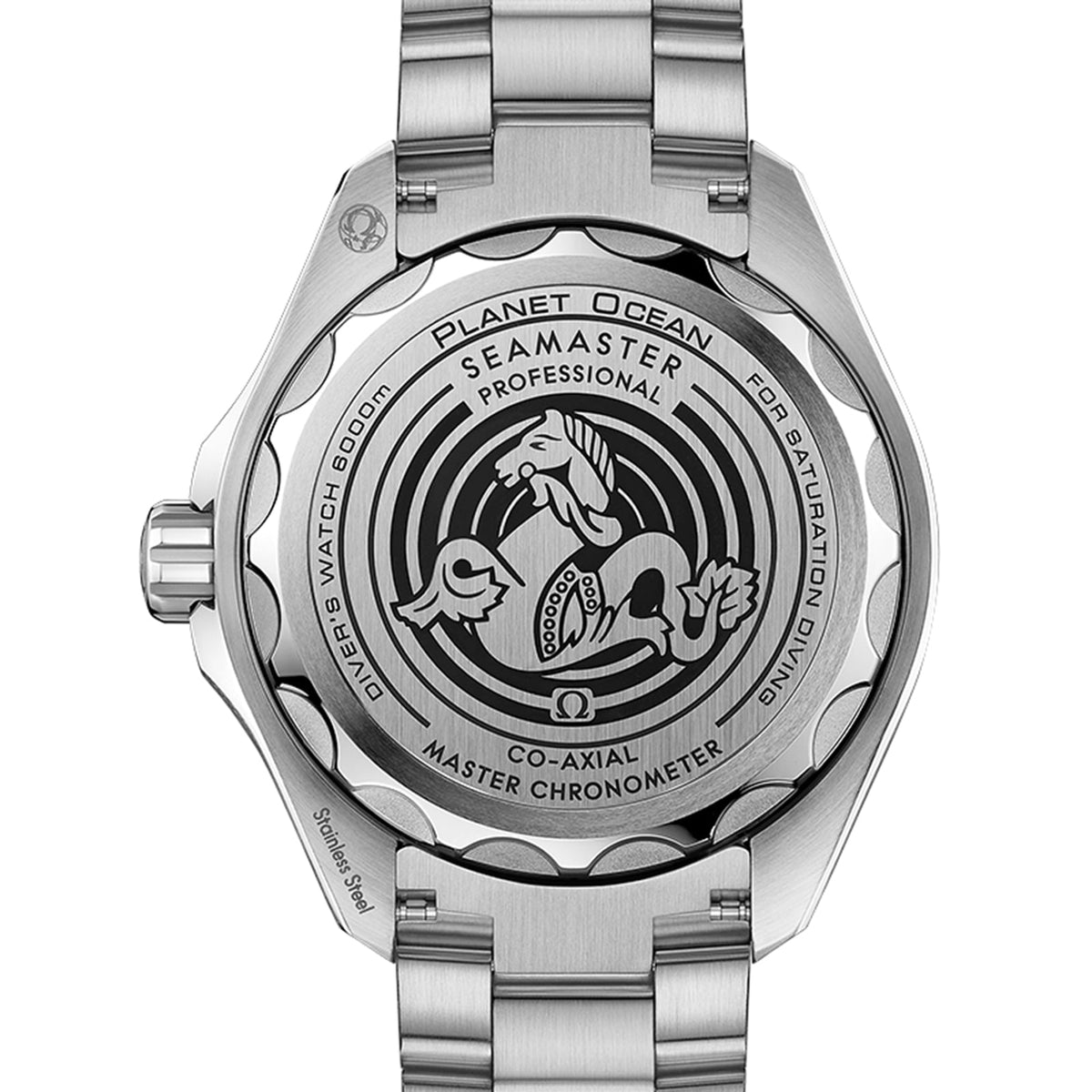 Omega Seamaster Planet Ocean 6000M