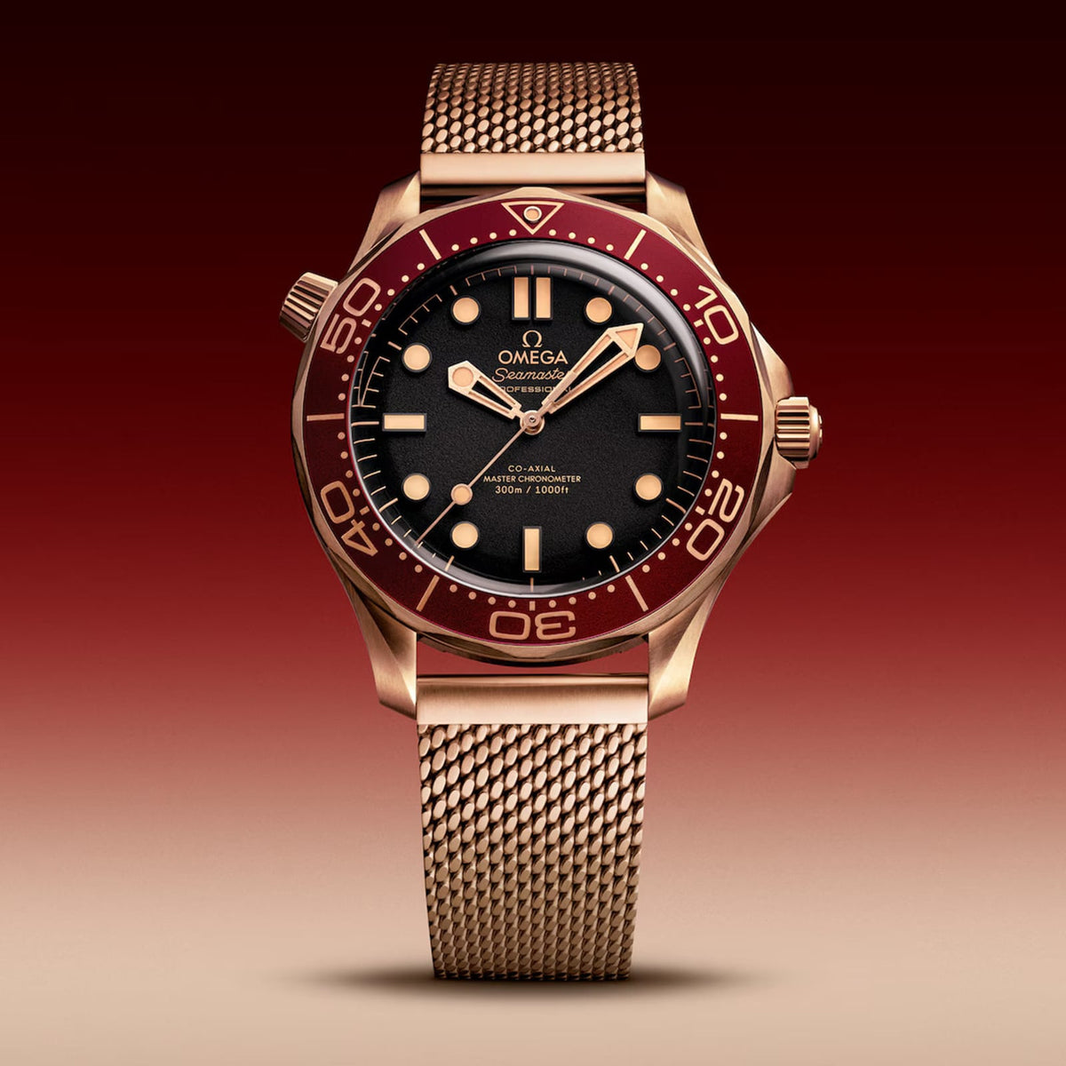 Omega Seamaster Diver 300M