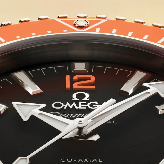 Omega Seamaster Planet Ocean 600M